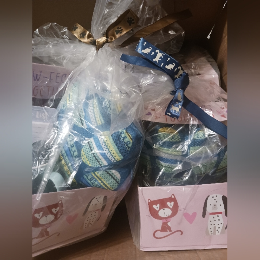 Pet Gift Basket with Blue and Green Toys